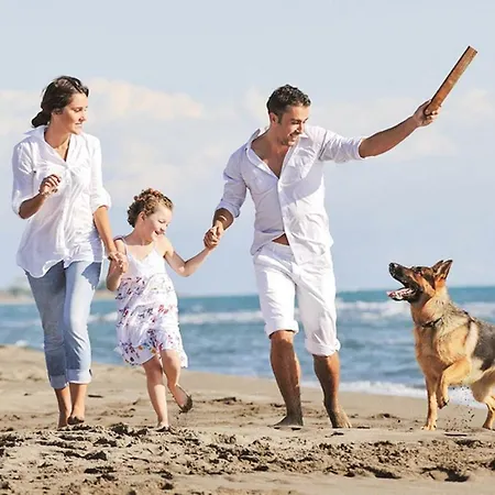 One-bedroom Holiday In